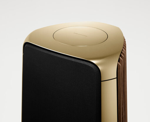 BeoLab 50 - Brass Detail