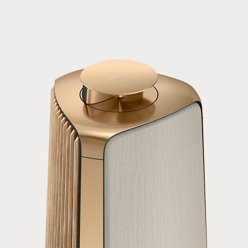 Beolab 50 Close up af Acoustic lens